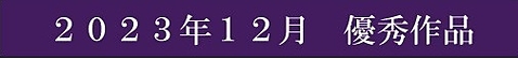 2023年12月優秀作品