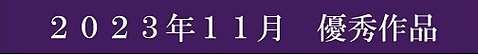 2023年11月優秀作品
